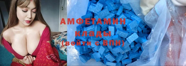 стаф Корсаков