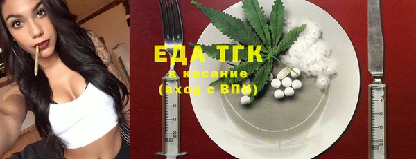 стаф Корсаков