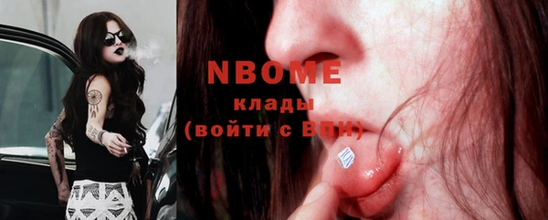 стаф Корсаков