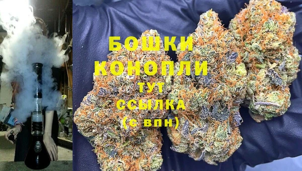 ПСИЛОЦИБИНОВЫЕ ГРИБЫ Костерёво