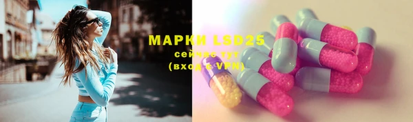 ПСИЛОЦИБИНОВЫЕ ГРИБЫ Костерёво
