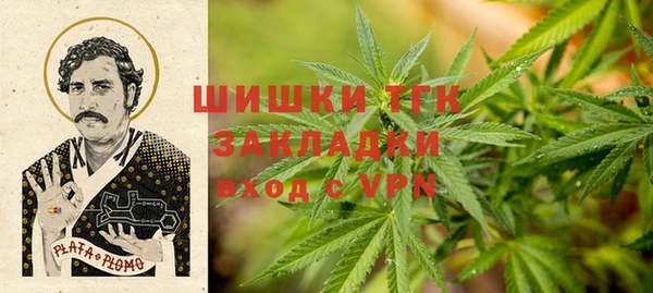 ПСИЛОЦИБИНОВЫЕ ГРИБЫ Костерёво