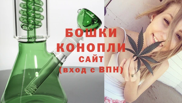 стаф Корсаков