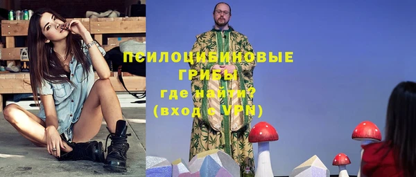 стаф Корсаков